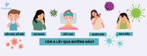 Cúm A lây qua đường nào?