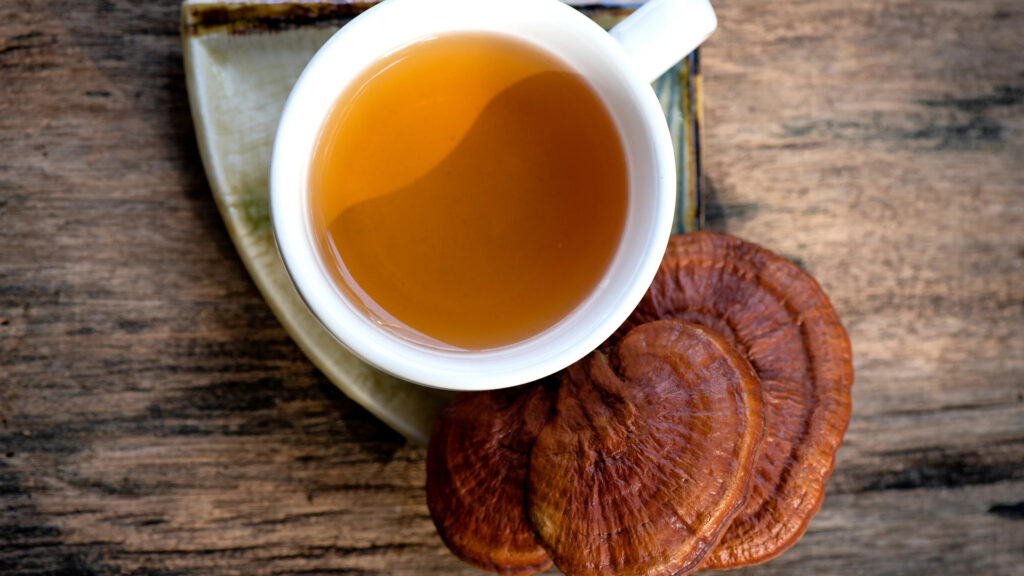 Uống trà nấm linh chi để kiểm soát lượng đường trong máu