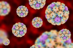 Virus HPV khi được nhìn dưới kính hiển vi