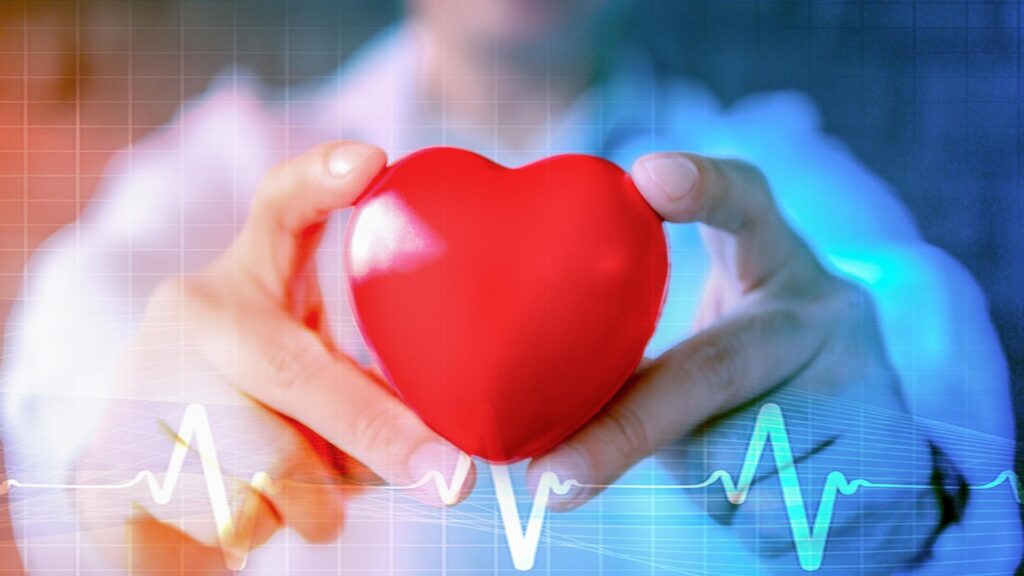 Rau đay giúp bảo vệ sức khỏe tim mạch