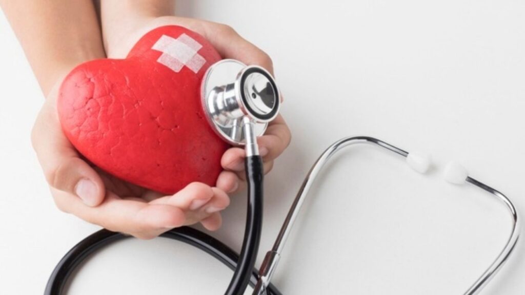 Xuyến chi tăng cường sức khỏe tim mạch