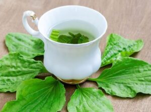 Mã đề có thể dùng ăn sống hoặc nấu nước uống