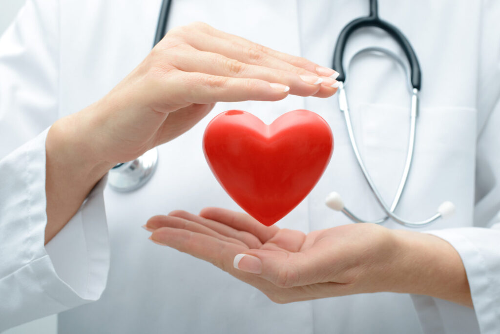 Cây duối có tác động tích cực đối với hoạt động tim mạch 