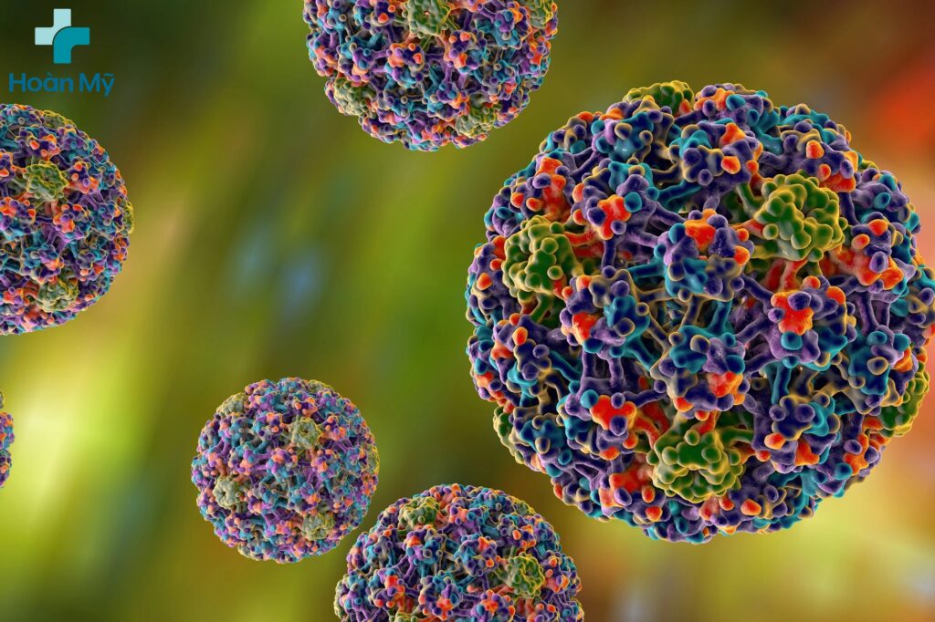 Virus HPV gây ra bệnh sùi mào gà
