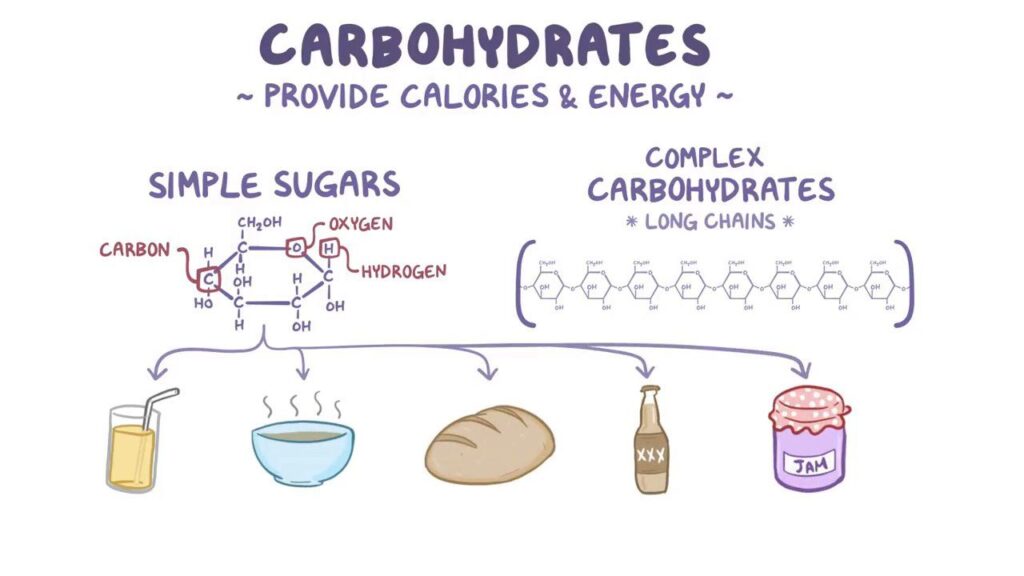 Cơ thể cần cung cấp carbohydrate để có năng lượng hoạt động