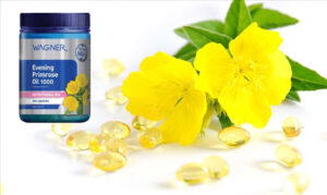 Dầu hoa anh thảo Úc Wagner Evening Primrose Oil