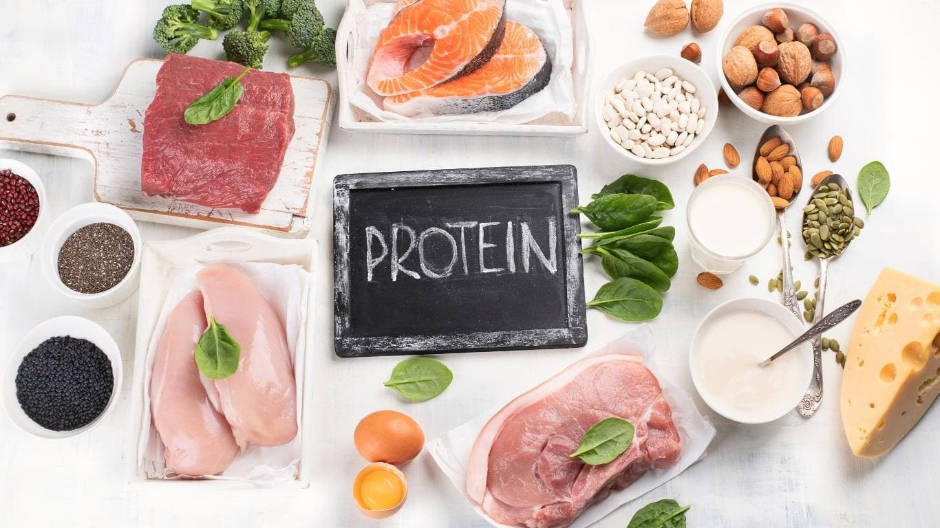 Protein (đạm) là gì? Vai trò, chức năng của protein cho cơ thể | Hoàn Mỹ