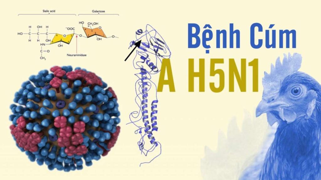 Bệnh cúm A H5N1