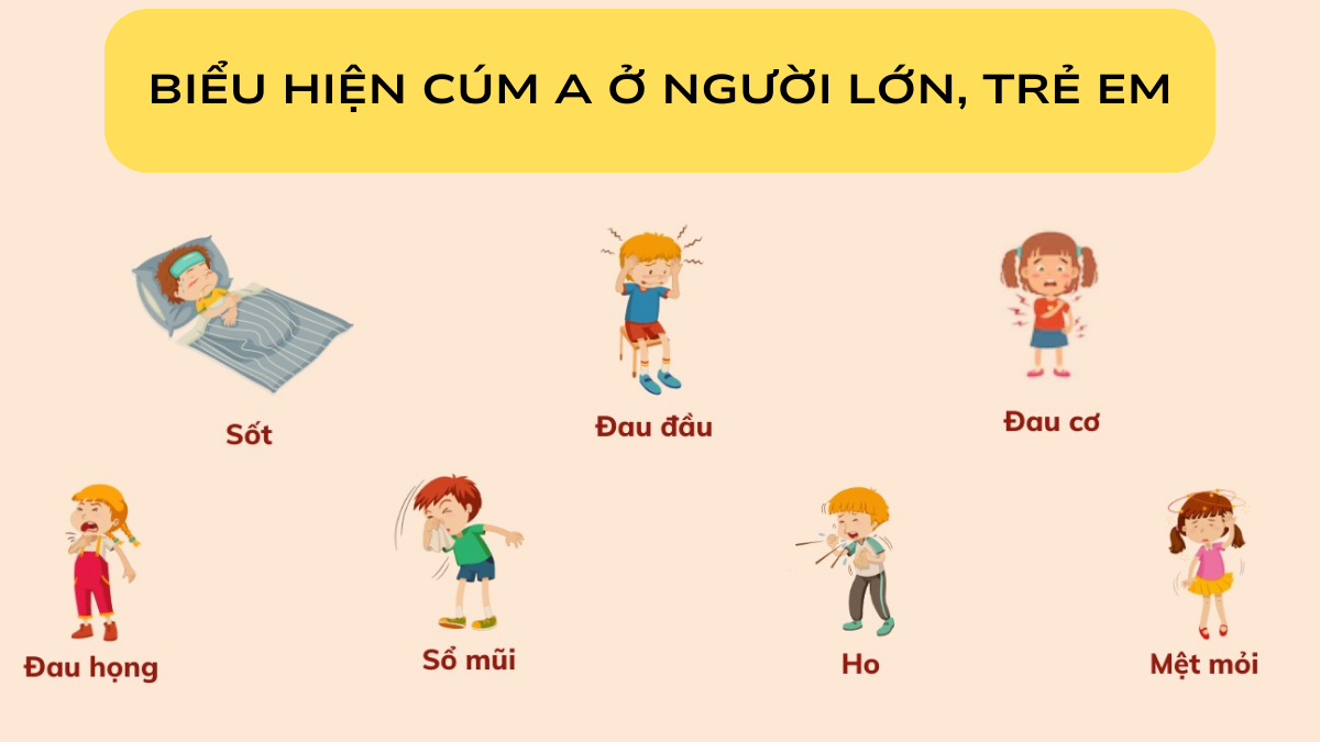 Triệu Chứng Cúm A ở Người Lớn: Nhận Biết Sớm và Điều Trị Hiệu Quả