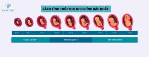 Cách tính tuổi thai