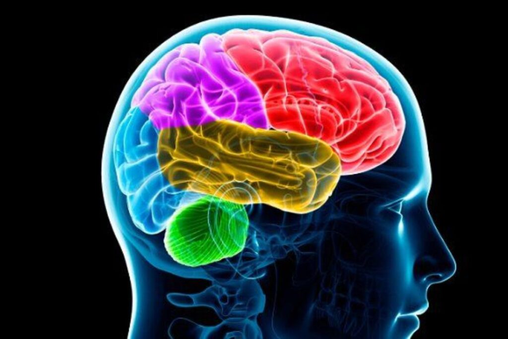 Tăng cường trí nhớ, bao gồm cả hội chứng Alzheimer 