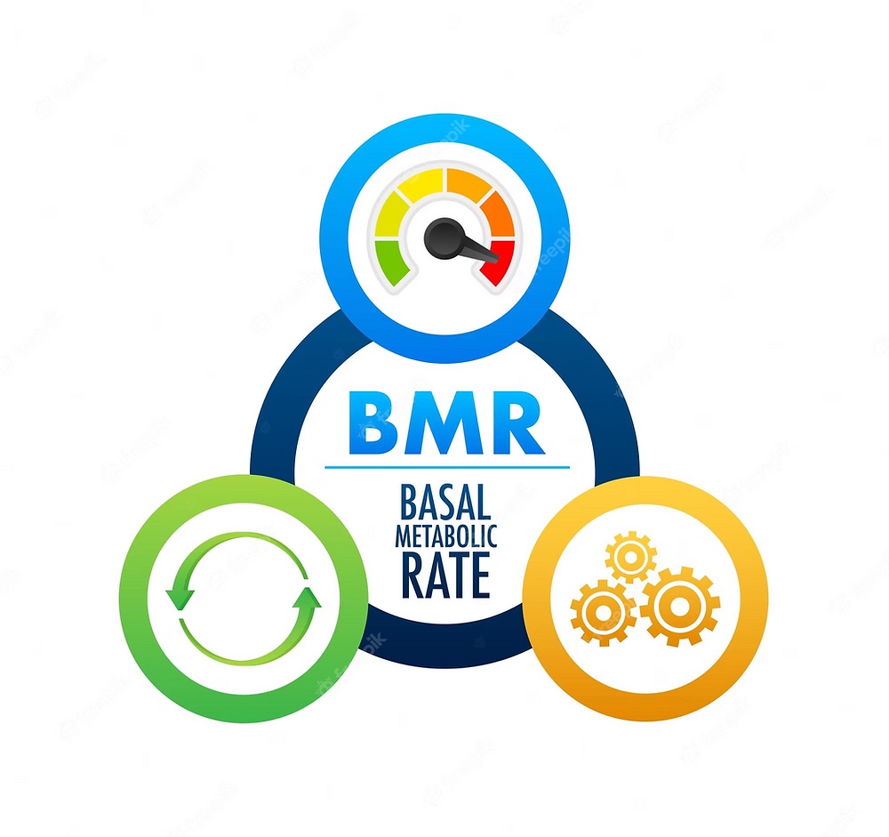 Chỉ số BMR (tỷ lệ trao đổi chất) để tính lượng calories tối thiểu mà cơ thể cần nạp vào 