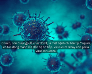 Cúm B do virus Influenza gây ra