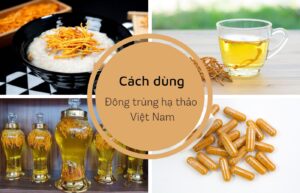 Đông trùng hạ thảo có thể dùng làm trà hoặc ngâm rượu