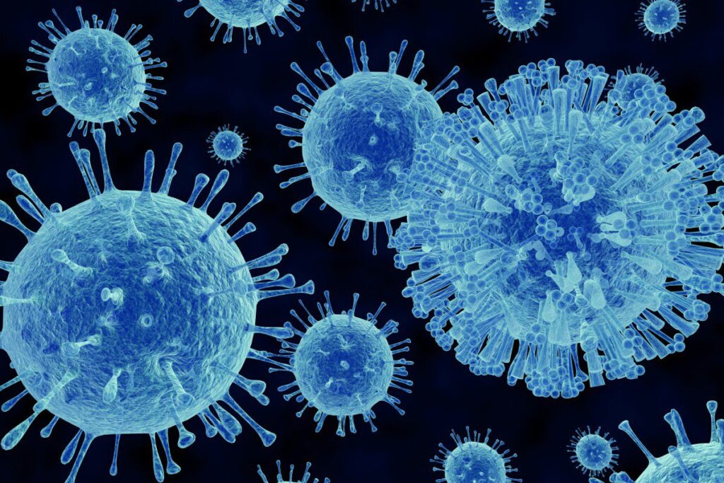 Bệnh sốt virus là kết quả của sự tương tác phức tạp giữa virus và cơ thể 