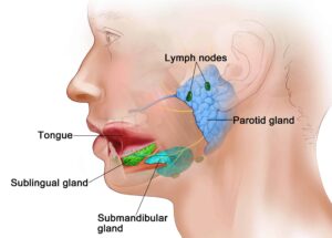 Viêm tuyến nước bọt