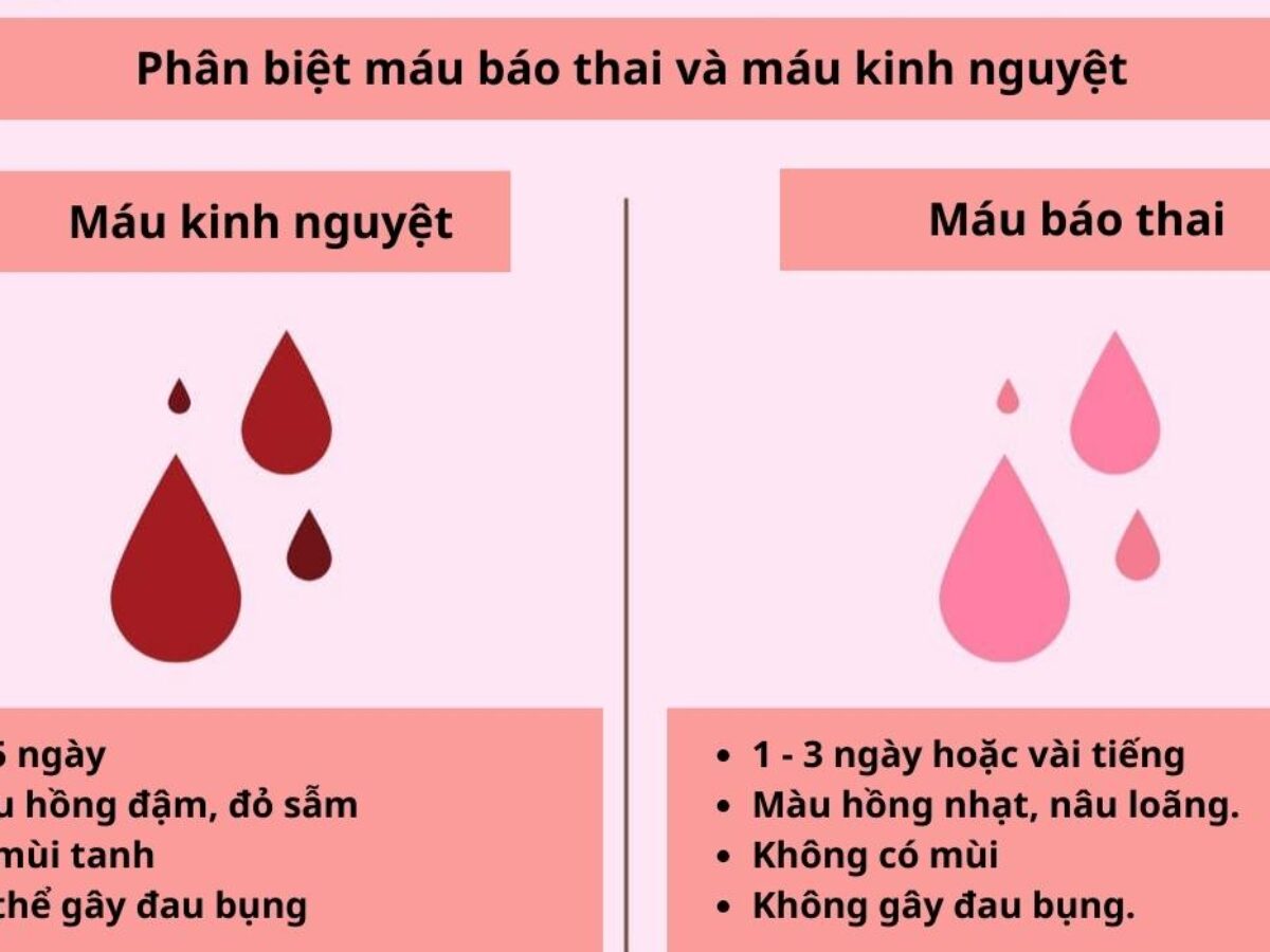 Máu Báo Thai Kéo Dài: Hiểu Biết Để An Tâm Và Chăm Sóc Sức Khỏe Mẹ Bầu