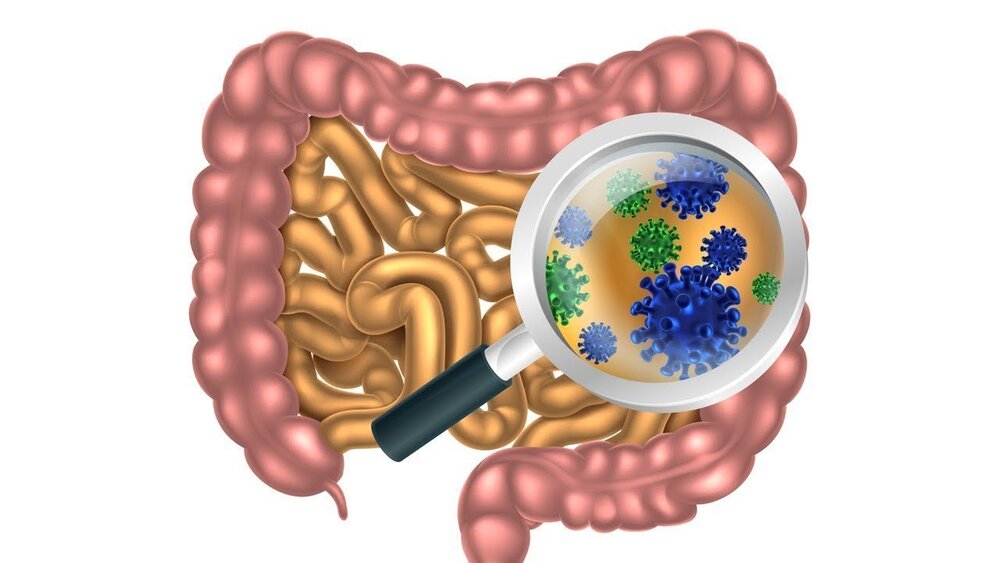 Nhiễm trùng tiêu hóa có thể gây đau bụng vùng dưới bên phải
