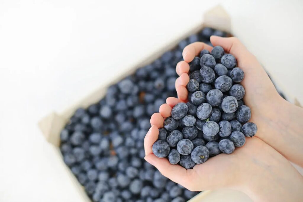 Blueberry giúp bạn có một trái tim khỏe 