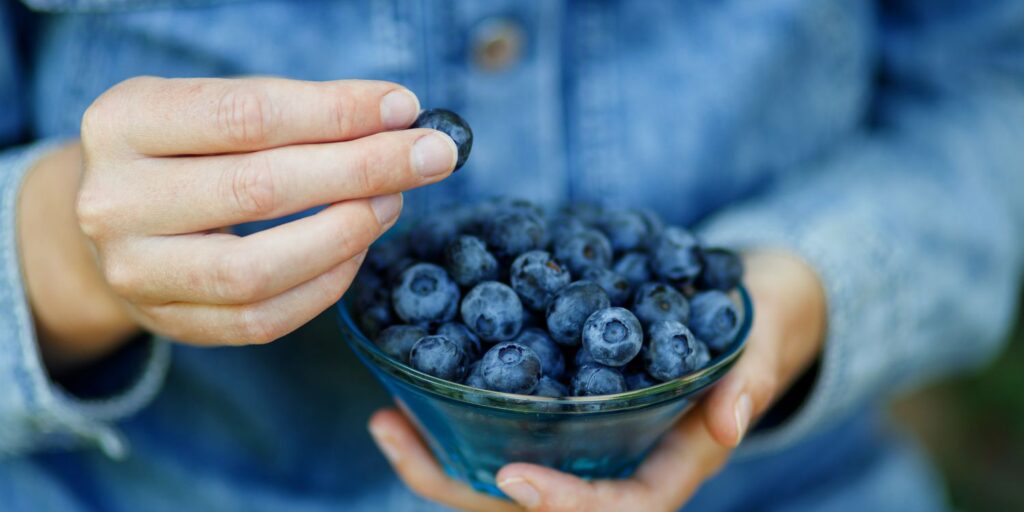 Blueberry là siêu thực phẩm với hàm lượng dưỡng chất cao 