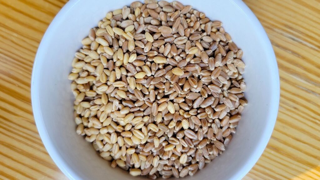 Lúa mì nguyên chất thích hợp với những người ăn kiêng 