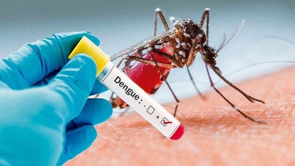 Bệnh sốt xuất huyết do virus dengue gây ra