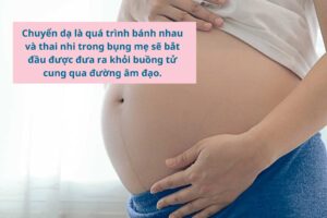 Chuyển dạ là gì?