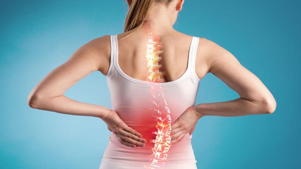 Bài thuốc trị đau lưng hiệu quả 