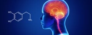 Dopamine là gì? Tác dụng, và một số lưu ý khi sử dụng