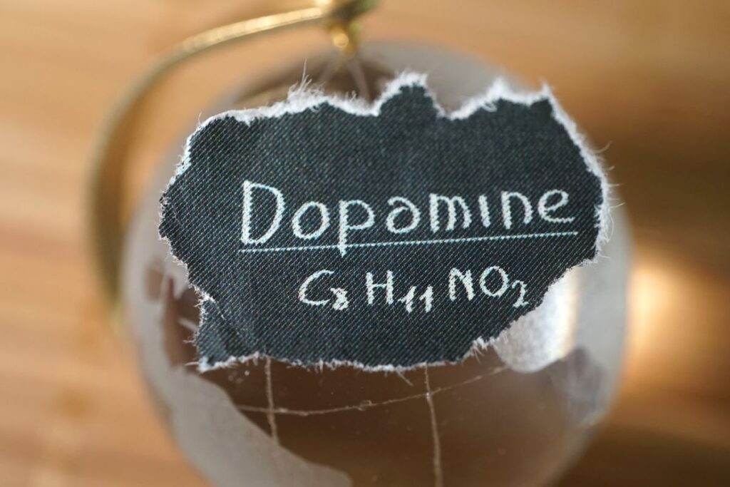 Dopamine là chất dẫn truyền thần kinh 