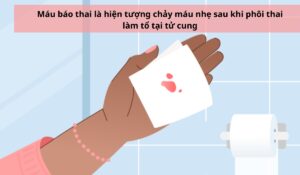 Máu báo thai là hiện tượng chảy máu nhẹ