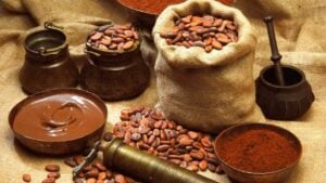 Một số lưu ý khi sử dụng cacao