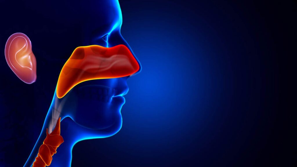 Bệnh lý viêm xoang, viêm họng, viêm mũi dẫn ảnh hưởng đến đến tai