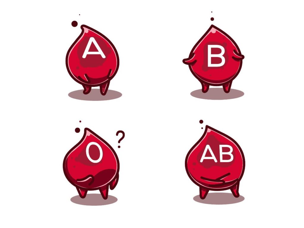 Người có máu nhóm O có một số đặc điểm tính cách và sức khỏe