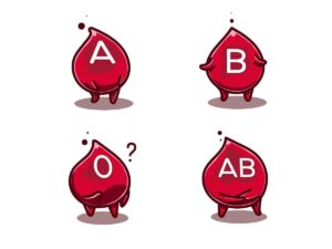 Hệ thống ABO gồm có bốn nhóm máu: O, A, B và AB