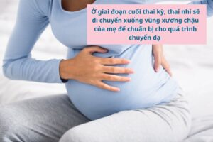 Dấu hiệu sa bụng dưới