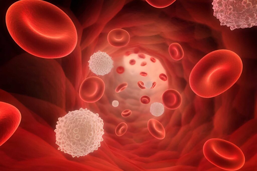 Tăng mức hemoglobin giúp tái tạo quá trình lưu thông máu