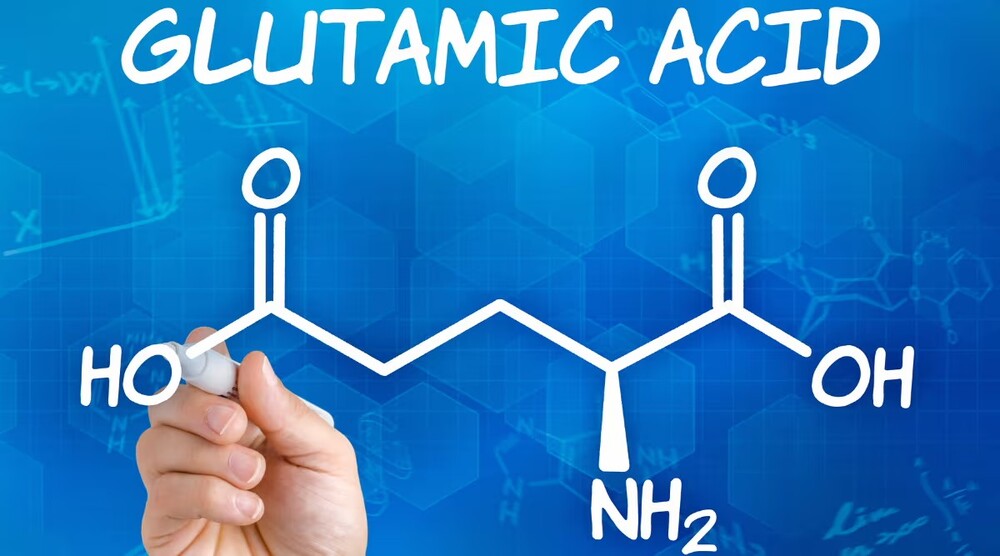 Axit glutamic là một axit amin có sẵn trong cơ thể của nhiều sinh vật sống, bao gồm cả con người