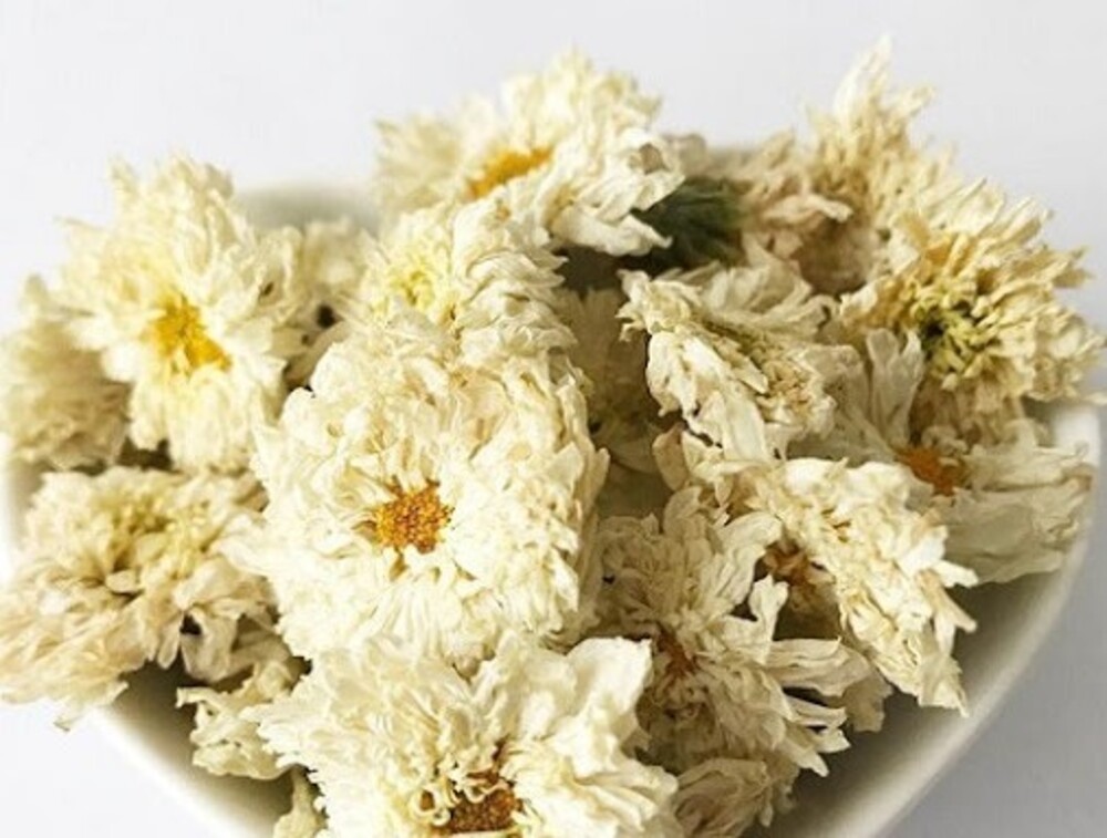 Hoa cúc trắng có tác dụng trong việc thanh nhiệt, giải độc, giảm đau và tán phong thấp