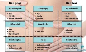 Những vị trí đau bụng thường gặp