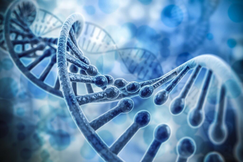 Gen di truyền là một trong các nguyên nhân có thể gây u xơ