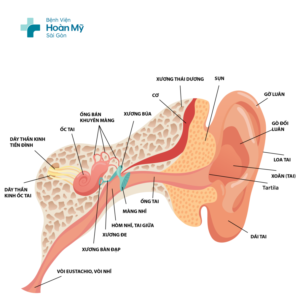 Rối loạn tiền đình là hiện tượng rối loạn của hệ thống thần kinh nằm phía sau ốc tai
