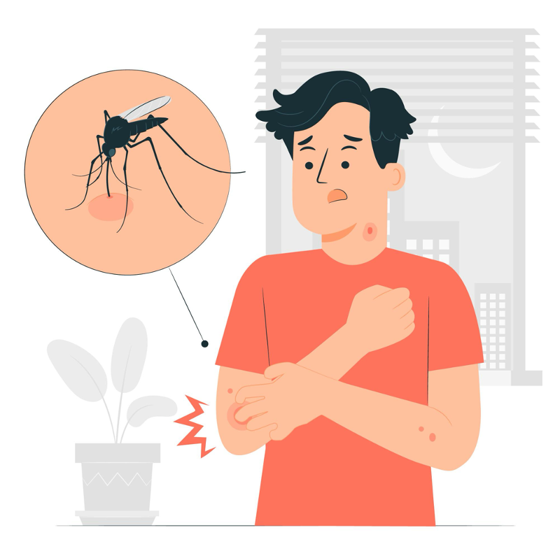 Muỗi vằn lây truyền virus Dengue gây bệnh sốt xuất huyết ở người