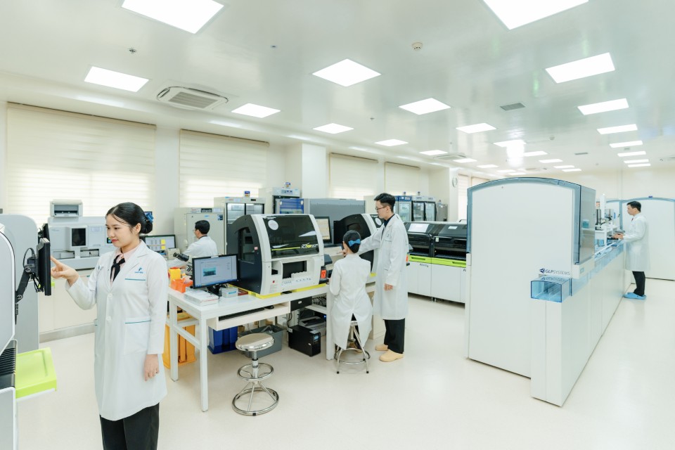 Haematology Illustration