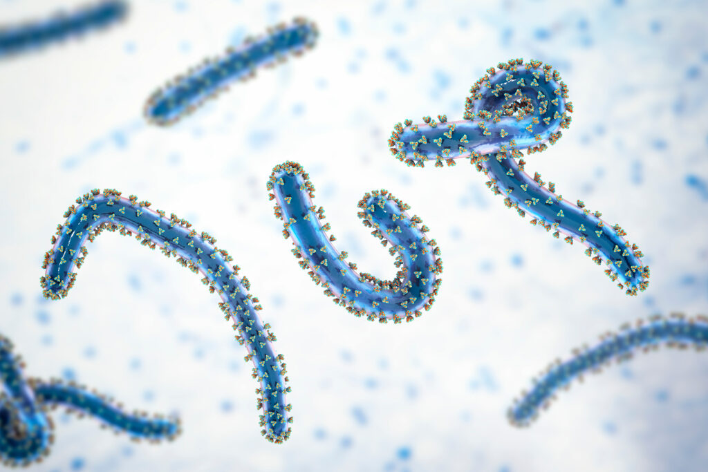 Cảnh báo dịch bệnh Marburg