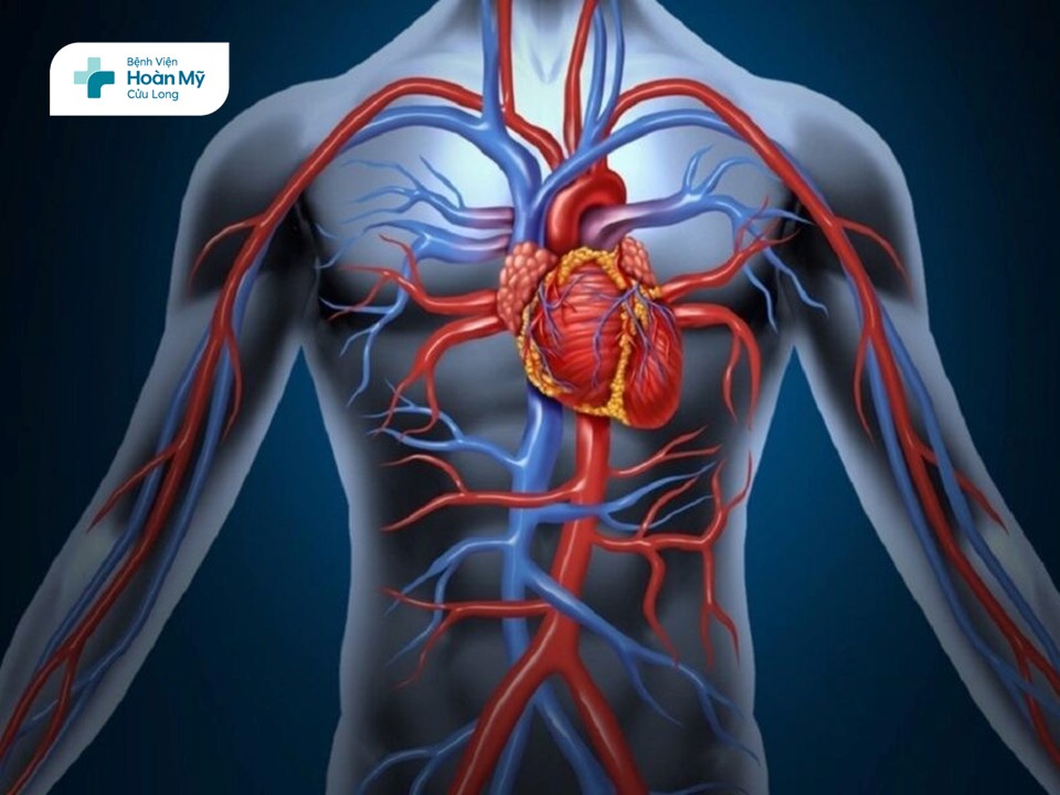 Hạ đường huyết: Tình trạng đường huyết hạ thấp