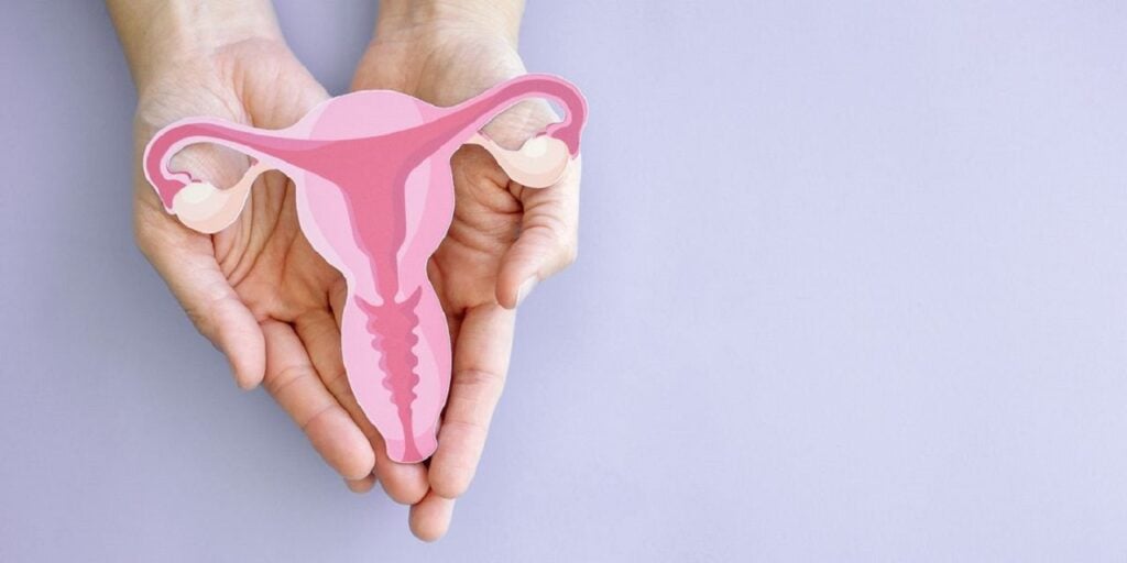 Chức năng của cổ tử cung