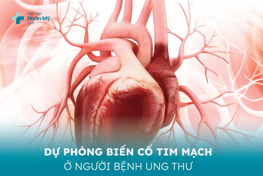 Dự phòng biến cố tim mạch ở người bệnh ung thư