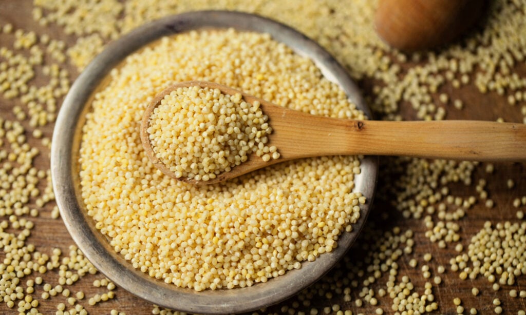 Hạt kê chứa nhiều dưỡng chất tốt cho sức khỏe 