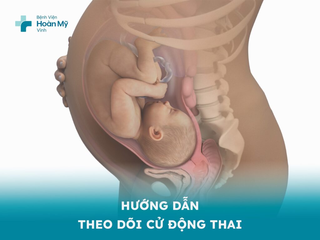 Hướng dẫn theo dõi cử động thai (thai máy/thai đạp) trong bụng mẹ